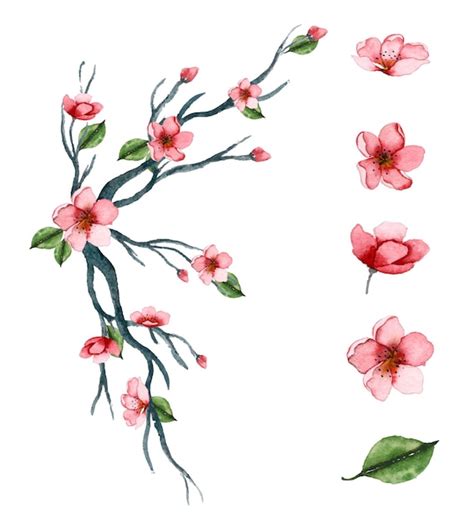 Free Vector | Handdrawn Watercolor Floral Art set