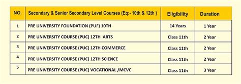 Sangai International University Pre-University Courses