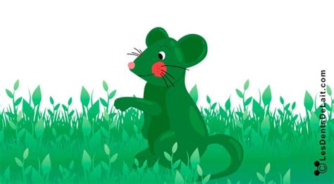 Comptine : Une souris verte, qui courait dans l’herbe