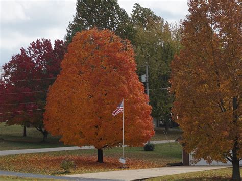 Spectacular Fall Colors – Douglas County Herald