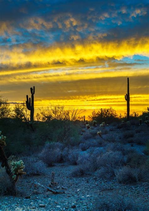 Sunset Over Phoenix Desert Landscape Stock Image - Image of saguaro ...