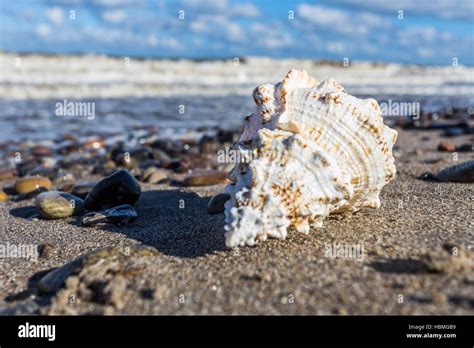 baltic beach germany Stock Photo - Alamy