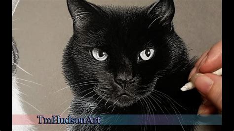 How to draw a realistic black cat in charcoal - tutorial - YouTube