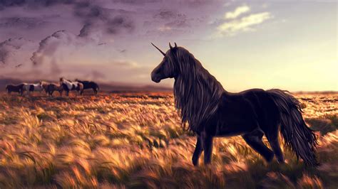 Unicorn In Field Wallpaper, HD Artist 4K Wallpapers, Images, Photos and Background