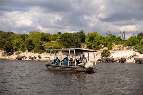 Chobe River Safaris - Hotels, eco-lodges and waterways