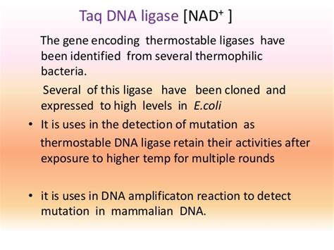 Dna Ligase Function