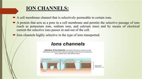 Ion channels | PPT