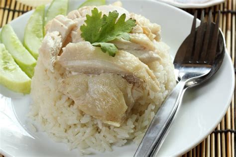 Steam chicken with rice stock image. Image of sauce, background - 40115891