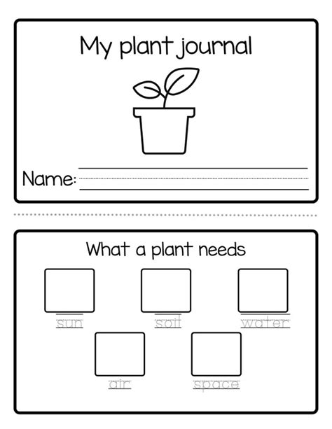 My plant journal (Registro de crecimiento de una planta) | profe.social