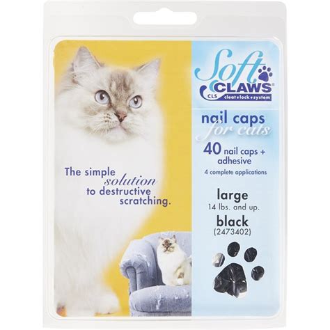 SOFT CLAWS Nail Caps for Kittens, 40 Count, Kitten, Clear - Chewy.com