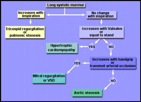 Teaching Tips - Heart Sounds & Murmurs Exam - Physical Diagnosis Skills - University of ...