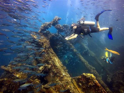 Diving Around the Island: Bali Manta Rays and Mola Mola - NOW! Bali