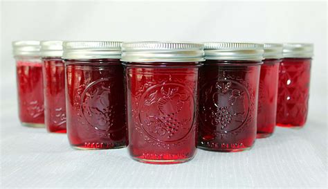 Southern Grapes (Recipe: Muscadine Jelly) | Syrup and Biscuits