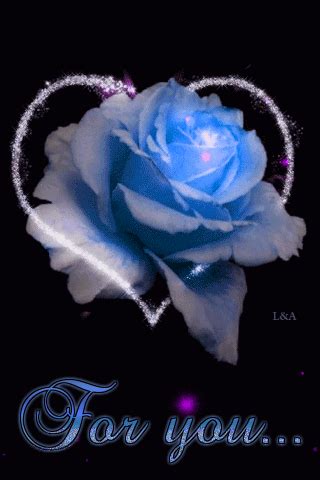 Flowers Gif, Beautiful Rose Flowers, Beautiful Gif, Love Rose, Beautiful Flowers, Gorgeous ...