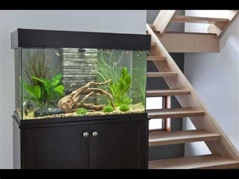 Fluval Accent Aquarium Setup Guide - Fluval USA