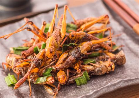 Edible insect market in Thailand. Id try some of these. | IGN Boards