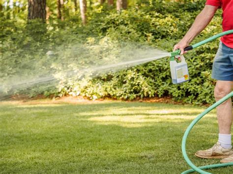 Best Lawn Insecticide: 7 Effective Pest Control Solutions