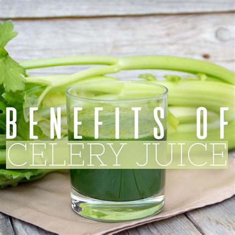 7 Surprising Benefits of Celery Juice – Raw Fountain Juice