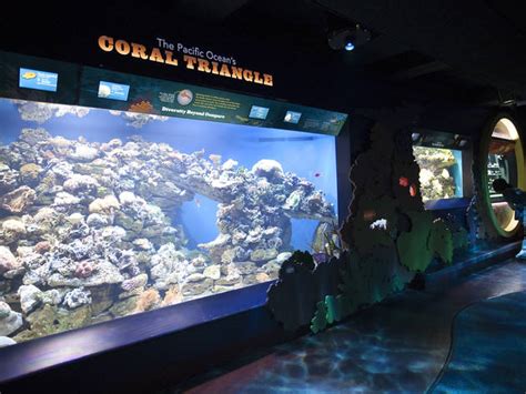 New York Aquarium | Attractions in Brooklyn, Brooklyn