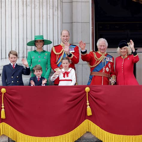 Trooping The Colour Flypast 2024 - Bunny Hortensia