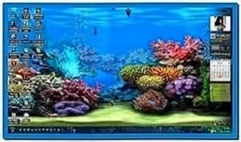 3d animated fish screensaver - Download free