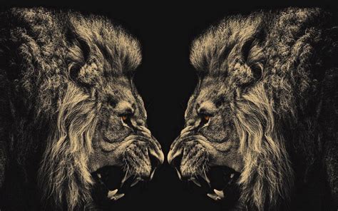 Angry Lion Wallpapers - Wallpaper Cave