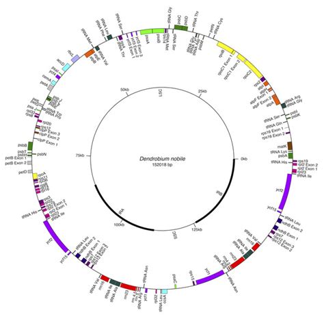 The complete chloroplast genome of Dendrobium nobile, an endangered medicinal orchid from north ...