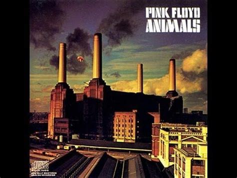 Pink Floyd - Animals (Full Album) | Pink floyd animals, Pink floyd dogs ...