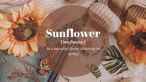 Aggregate more than 59 aesthetic sunflower wallpaper super hot - in.cdgdbentre