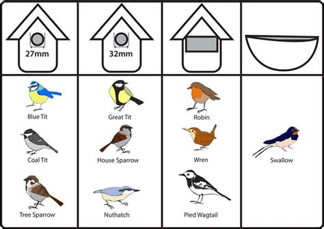 Nest Box Week 2019 | Brinvale Bird Foods Bird Houses Ideas Diy ...