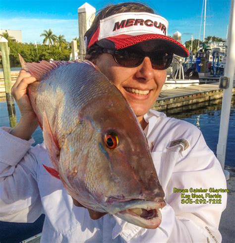 mutton-snapper | Key West Fishing Report