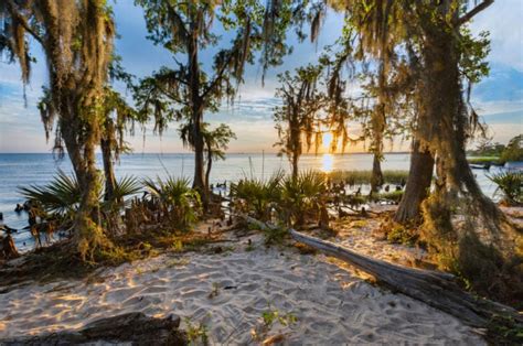 The 10 Best State Parks in Louisiana