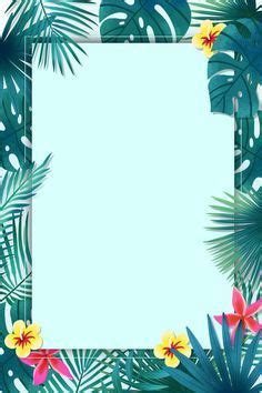 Fresh Tropical Plants Border Summer Promotion Poster Background Wallpaper Image For Free ...