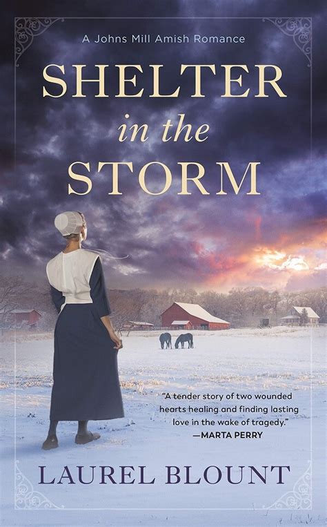 Shelter In The Storm by Laurel Blount: Review - A Midlife Wife