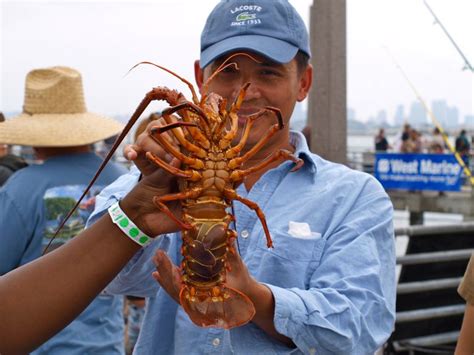 California Spiny Lobster - Pier Fishing in California