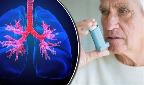 Asthma symptoms: People over 55 are most likely to suffer attack | Express.co.uk