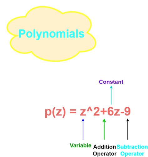 Polynomials (Definition, Types and Examples) - HubPages