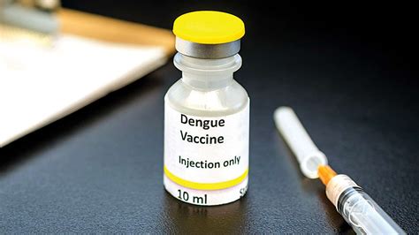 World Health Organisation warns against dengue vaccine risks