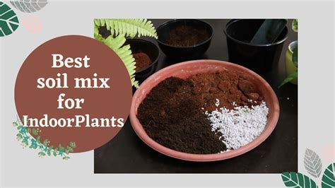 My House Plants Soil Mix | How to Make Best Soil Mix/ Potting Mix for Indoor Plants - YouTube