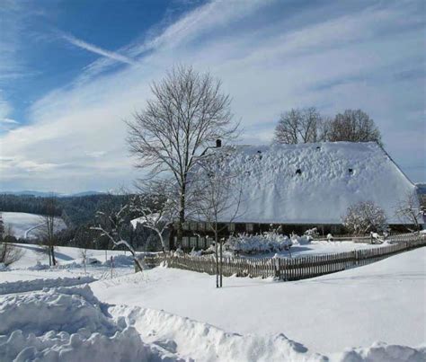 Winter in Germany: Why You Have to Visit These Destinations This Winter