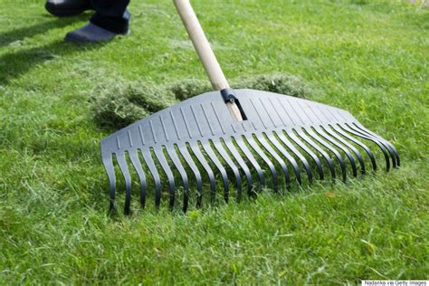 5 Ways To Get The Greenest And Healthiest Lawn On The Block