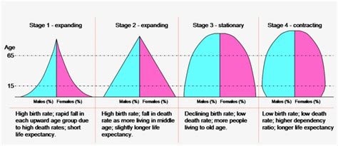 Dtm Pyramids - Demographic Transition Model Stages - 1443x542 PNG Download - PNGkit