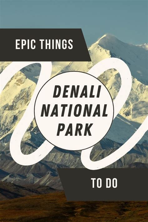 12 Epic Things to do in Denali National Park - Global Viewpoint