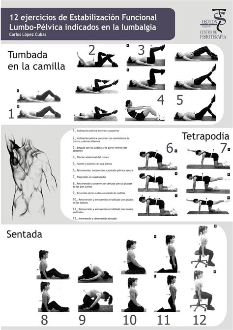 6 Ejercicios para fortalecer la espalda - Ejercicios En Casa