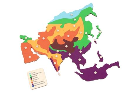 Montessori Materials: Biomes of Asia Puzzle Map