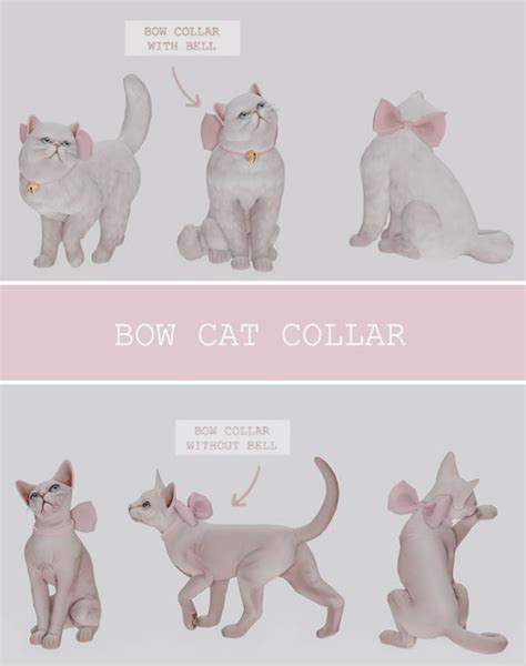 the different types of cats are shown in this graphic style, including ...