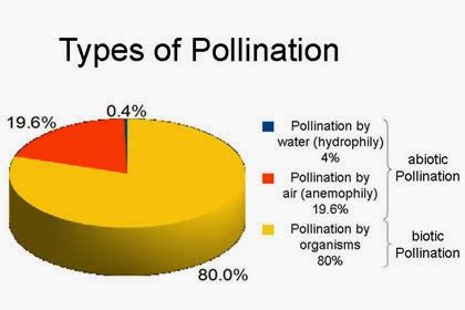 Types of Pollination ~ plant pollination