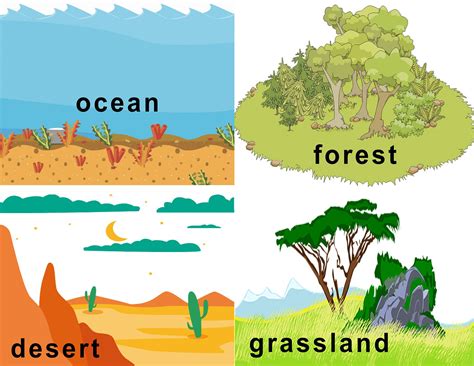 FREE Animal Habitat Flashcards | Animal habitats, Habitats, Grassland habitat