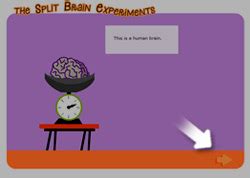 The Split Brain Experiments - Credits