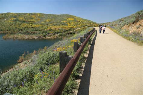 Biggest Super Bloom in Decade Blooms at Diamond Valley Lake - Dave's Travel Corner